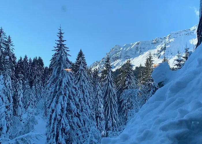 Chesery 1 Διαμέρισμα Μόργκινς